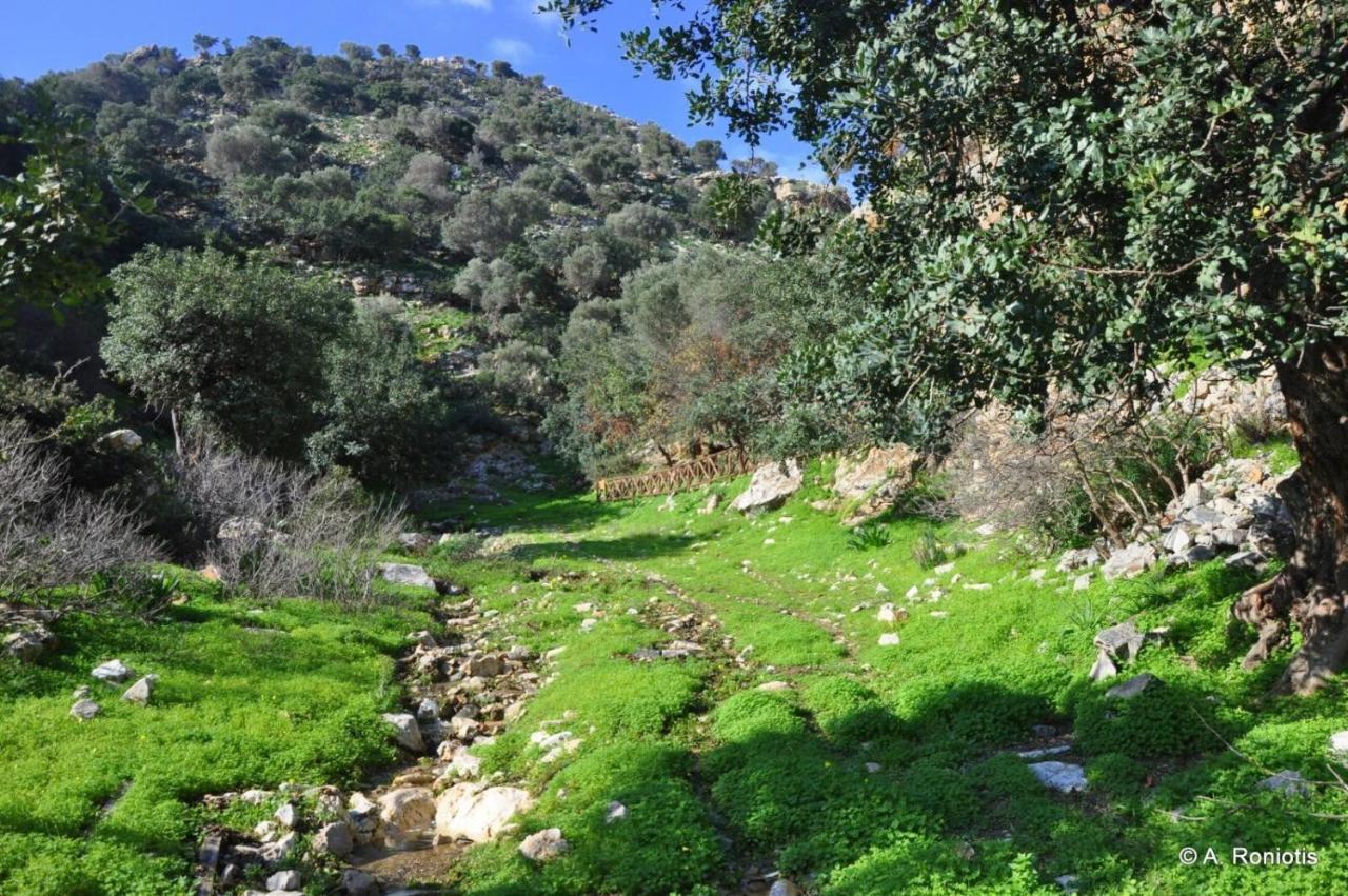 Spacious Seaview House With Garden At Palaiokastro Παλαιόκαστρο Εξωτερικό φωτογραφία